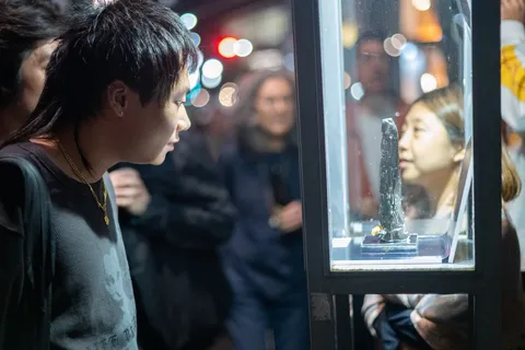 メモリーフォームの写真 13