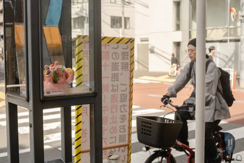 メモリーフォーム、街灯15