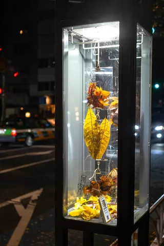 Michibiki、街灯37