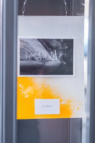 PUNCTUM: The Emotion of a Detailの写真 111