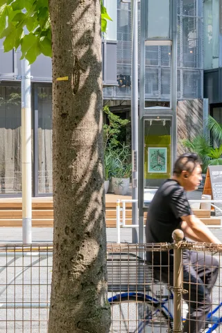 猫はどこへ消えた？、街灯1