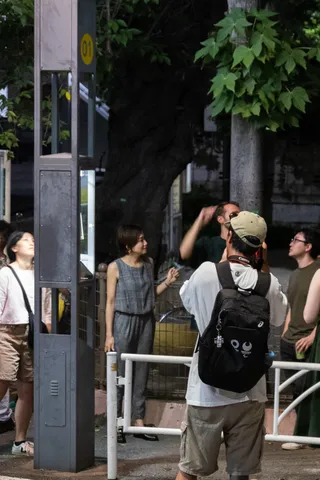 猫はどこへ消えた？の写真 15
