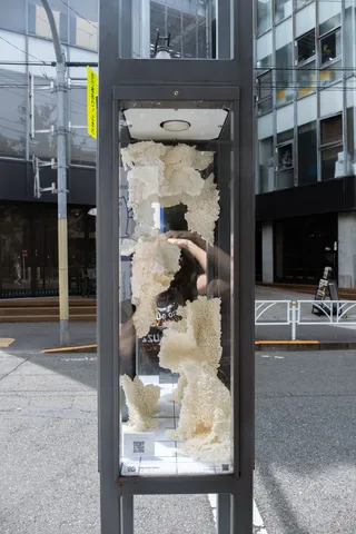 ゆあそび、街灯1