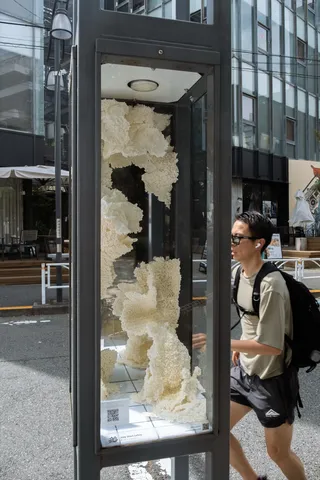 ゆあそび、街灯1