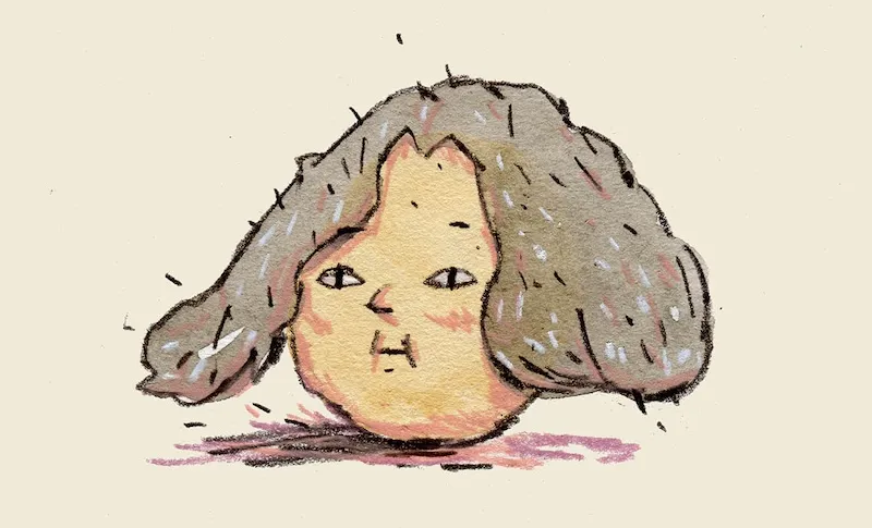 Wenyi